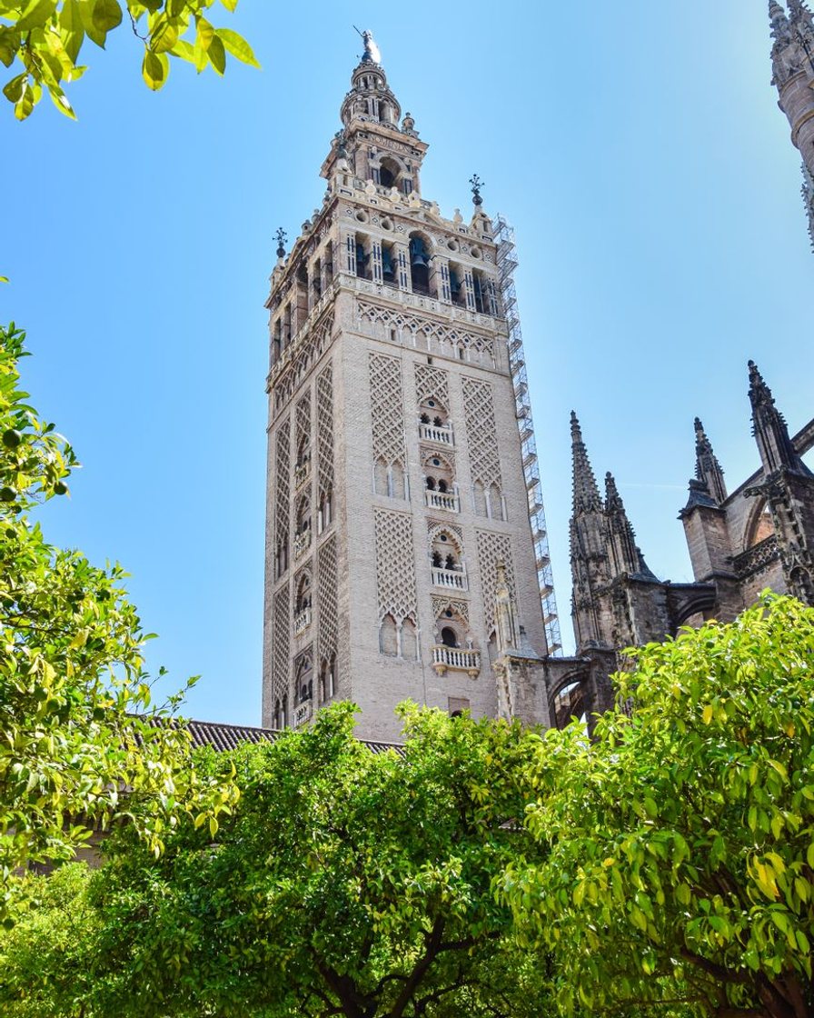 La Giralda de Sevilla vista de frente desde la plaza, con el pavimento vacío en primer plano