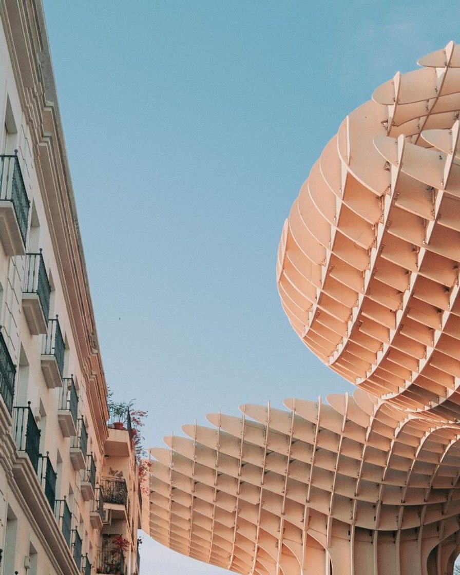 Estructura ondulada de madera de Las Setas de Sevilla vista desde abajo, ocupando la parte alta del encuadre