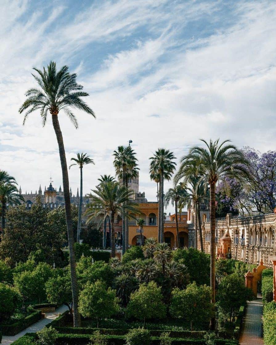 Inner gardens of the Real Alcázar in Seville with fountains and clipped hedges, without crowds of visitors