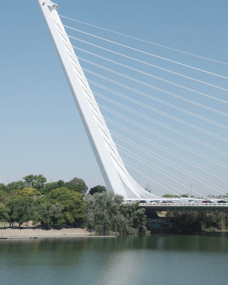 The Alamillo Bridge over the Guadalquivir in Seville, with its leaning mast and traffic at sunset