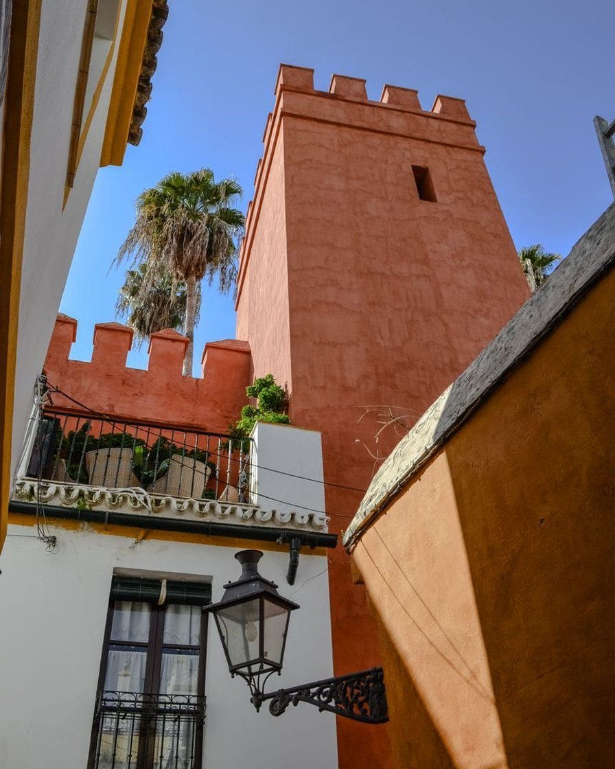 Narrow lane in the Santa Cruz quarter of Seville with whitewashed walls, iron grilles and flowerpots, early in the morning